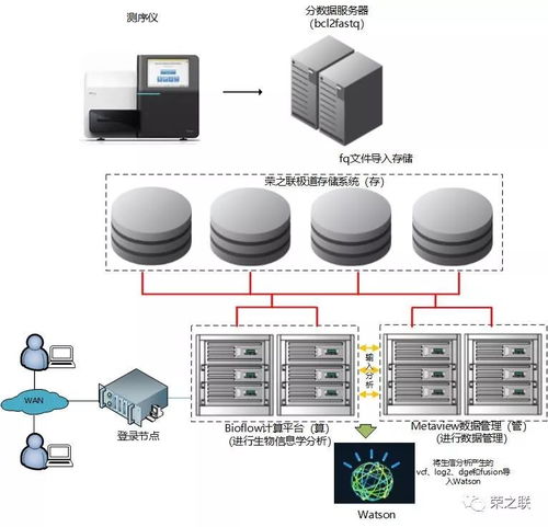 基因检测分析服务上线 荣之联为菩提慧生医学检验所注入数据处理与存储新动力